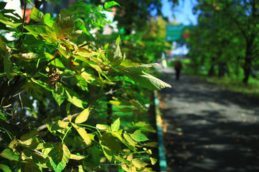 Similar image 10530054