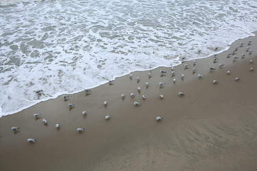 Similar image 10530062