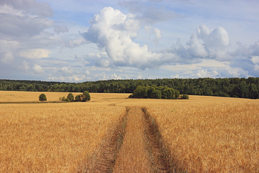 Similar image 10530069