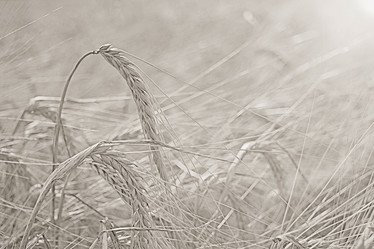 Similar image 10530071