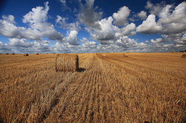 Similar image 10530080