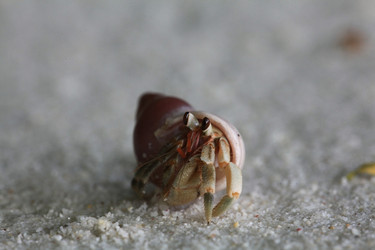 Similar image 10530081