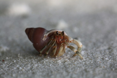 Similar image 10530085