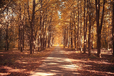 Similar image 10530103