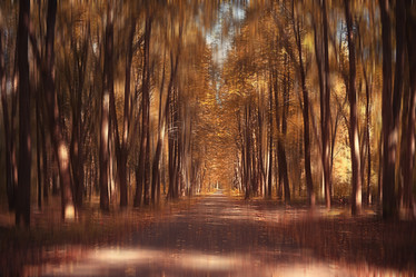 Similar image 10530106