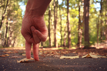 Similar image 10530108