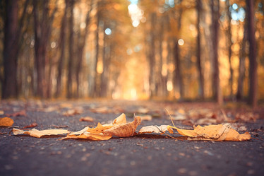 Similar image 10530111