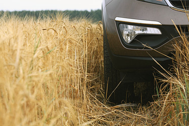 Similar image 10530119