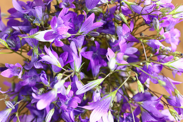 Similar image 10530125