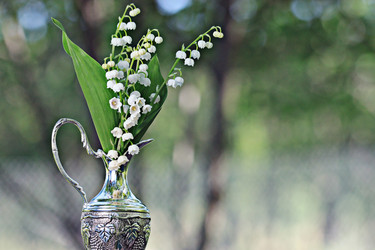 Similar image 10530126