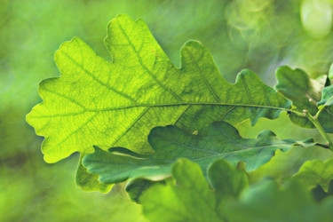 Similar image 10530133