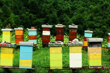 Similar image 10530141