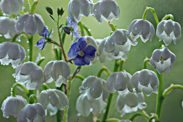 Similar image 10530169