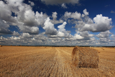 Similar image 10530170