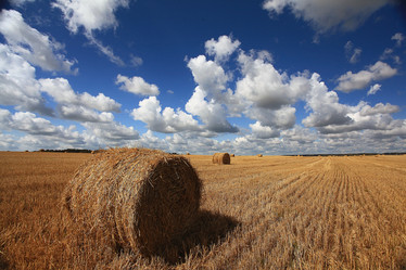 Similar image 10530176