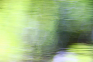 Similar image 10530182