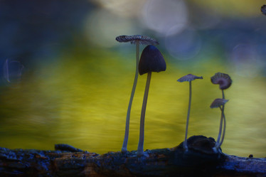 Similar image 10530187