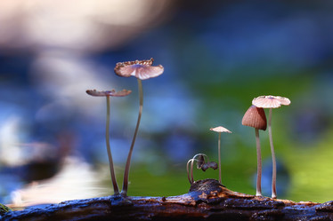 Similar image 10530188