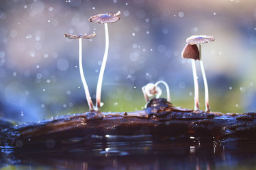 Similar image 10530189