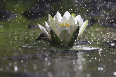 Similar image 10530192