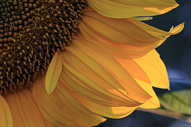 Similar image 10530200