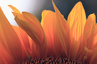 Similar image 10530203