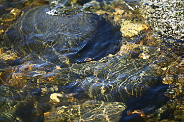 Similar image 10530209