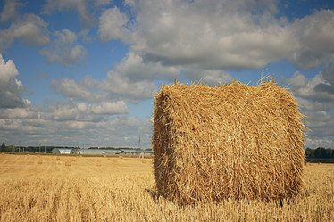 Similar image 10530211