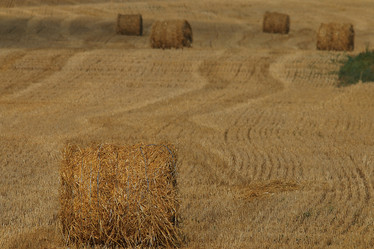 Similar image 10530212