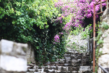 Similar image 10530228