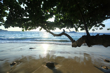 Similar image 10530345