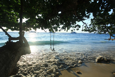 Similar image 10530378