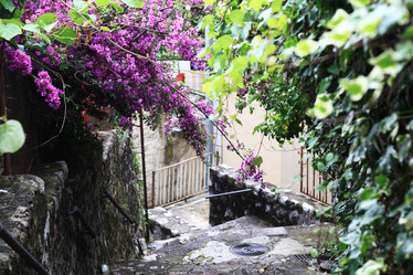 Similar image 10530386