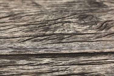 Similar image 10530401