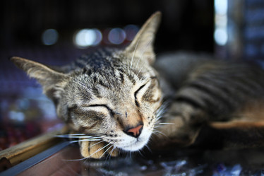 Similar image 10530403