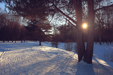 Similar image 10530405