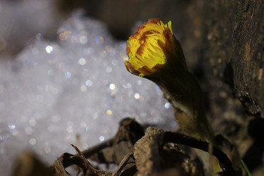 Similar image 10530406