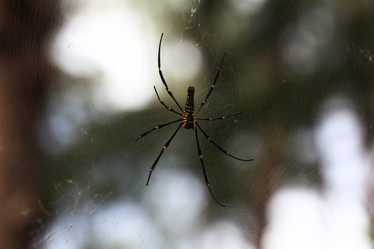 Similar image 10530409