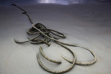 Similar image 10530454