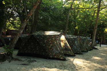 Similar image 10530475