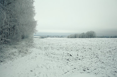 Similar image 10530492