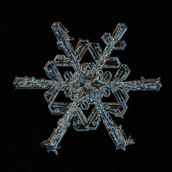 Similar image 10530500