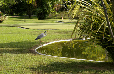 Similar image 10530507