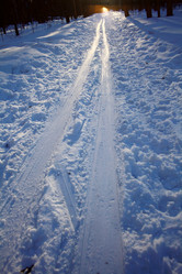 Similar image 10530531