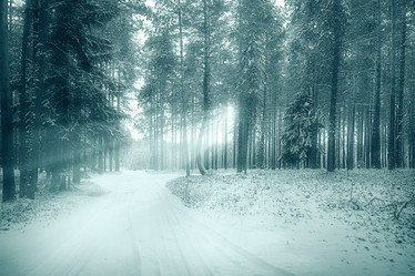 Similar image 10530560