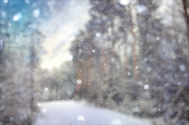 Similar image 10530566