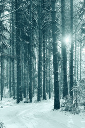 Similar image 10530568