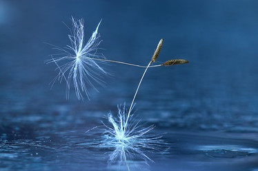 Similar image 10530578