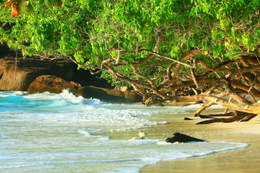 Similar image 10530590