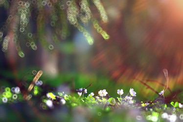 Similar image 10530601